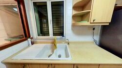 Evergreen Park (D19), Apartment #505644071